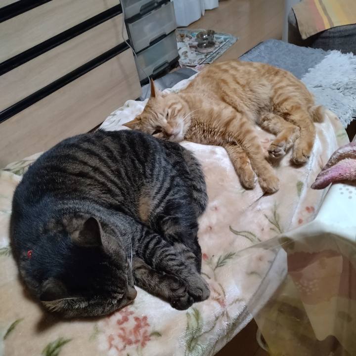 Ad462d29 3b0c 473a 8897 cc5ce7659b5b 1673856702817