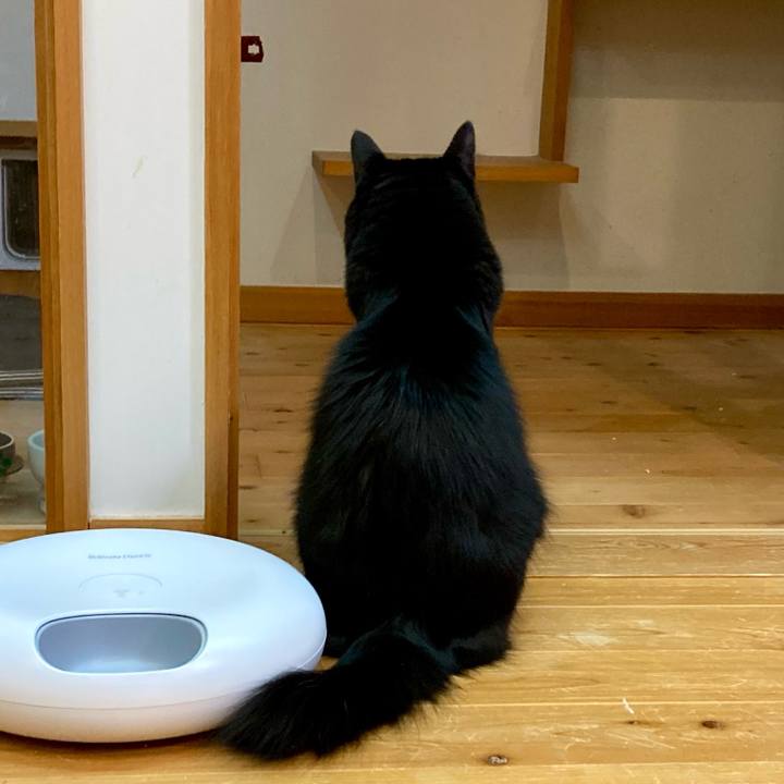 Ad468aaf 275c 4e50 89bf 73d5172c955e 1766021745188