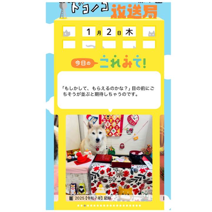 Ad46c82a 79f0 49f7 861b ff95b82802cd 1735827845413