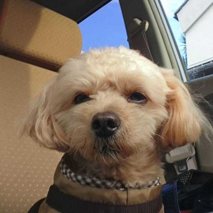 Ad471894 c625 40b4 9d18 40bb72580d20 1571125659059