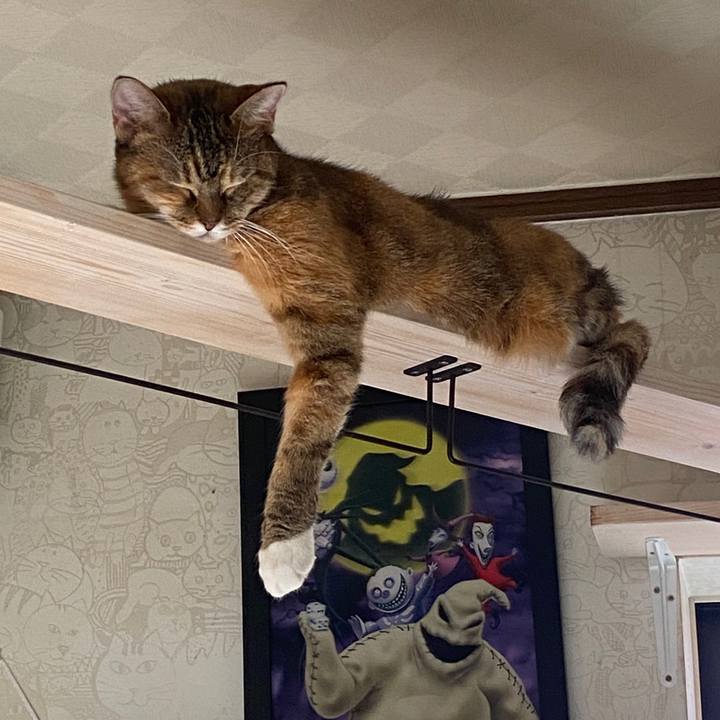 Ad471d28 f078 48bb a8ba ca92c4341111 1602986476942