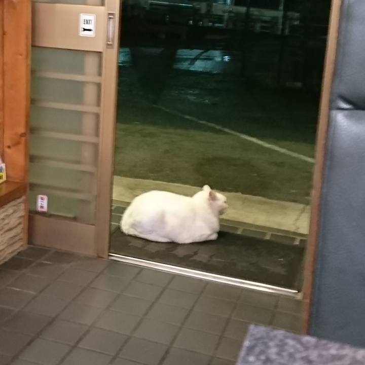 Ad471fba 5d6b 44a7 9f70 b8ad5de89642 1566559742015