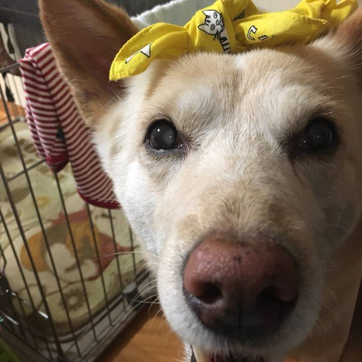 Ad475f2d 2b2b 49c0 a8ec 45d29f1762b2 1524821482995