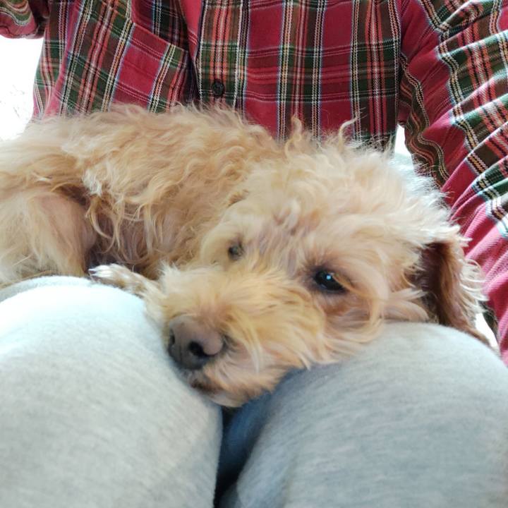 Ad47642c cf77 4e2b b25a 3c54e5fd9867 1608197446883