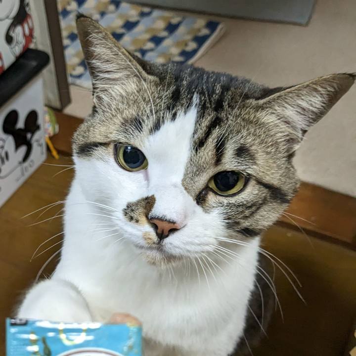 Ad47b0c9 3c58 4a3c 9e4b 643e983d24b4 1675859462542