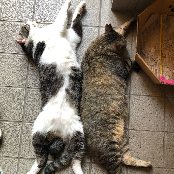 Ad47b1a2 407a 42a2 b385 3951c791dbf1 1564826952826