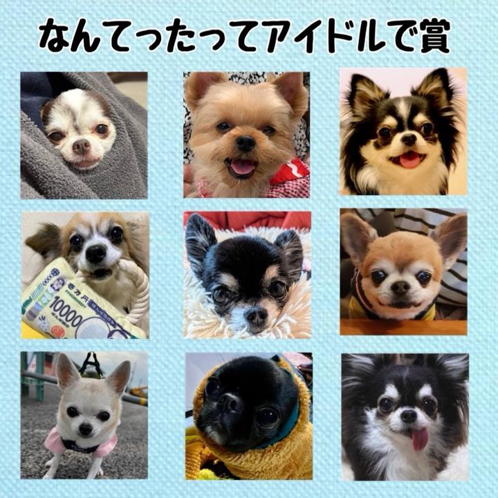 Ad47d822 07f6 4c8d a323 68fd927713ef 1738017557770