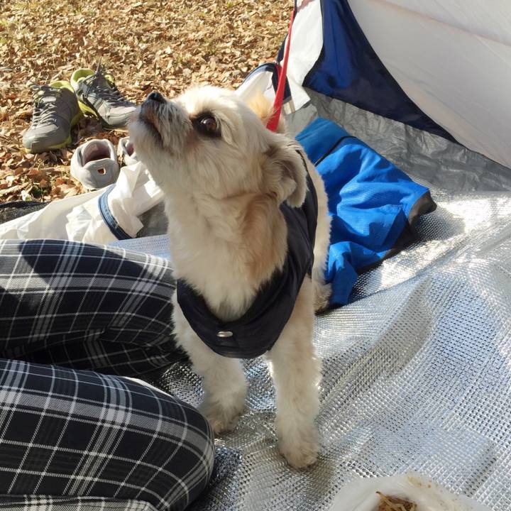 Ad47f687 89d1 476c a4a0 668ceb833b89 1549182013356