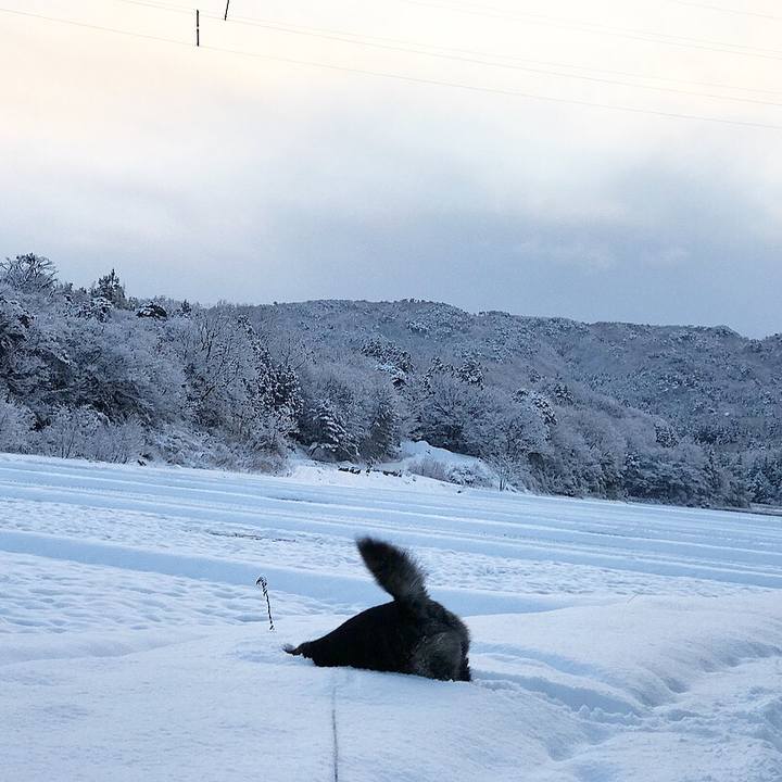 Ad4810b2 58b5 40e6 8963 a8e419df2a4a 1515752813771