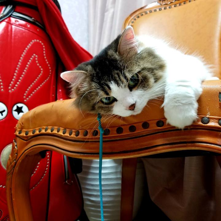 Ad482427 7af0 4075 bdcc a7a35cfcbfb5 1539522017101