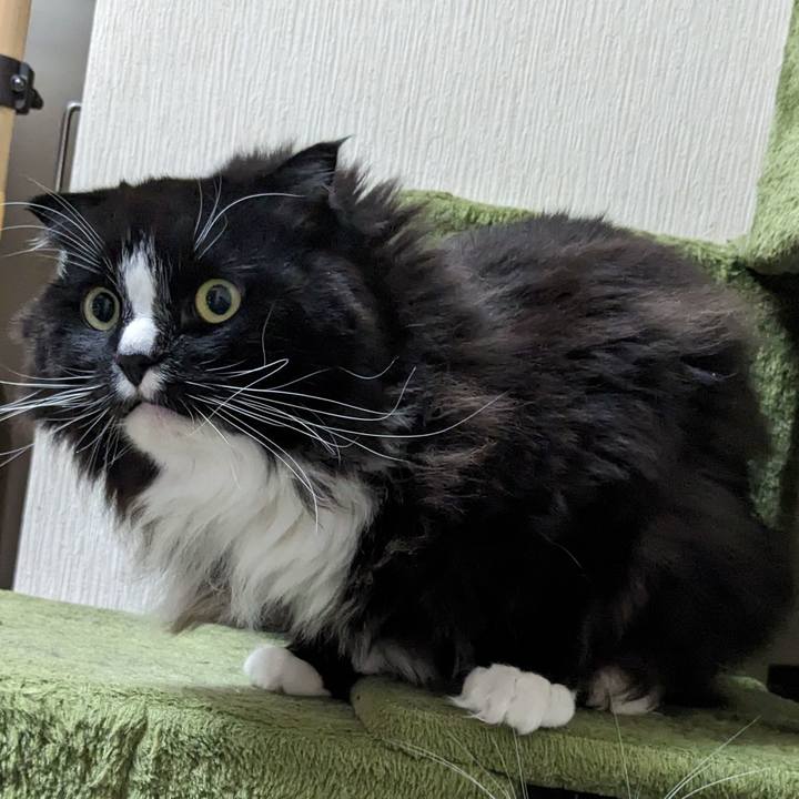 Ad4830c5 44c6 4d07 abc5 a5f7da72a462 1708311059956