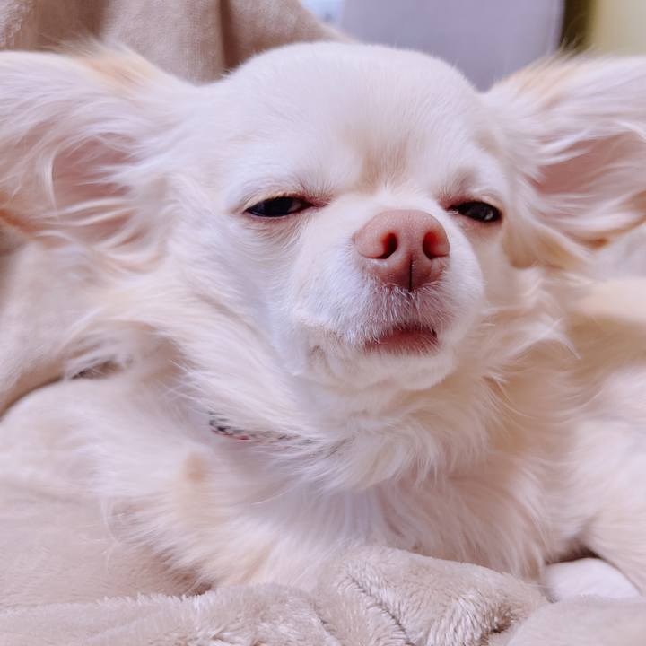 Ad4833d2 ec0e 4227 ae10 8f496fdd2f2d 1677471321929