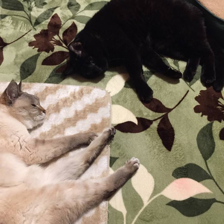 Ad48422b b603 4924 b862 60567711cfae 1581333449667