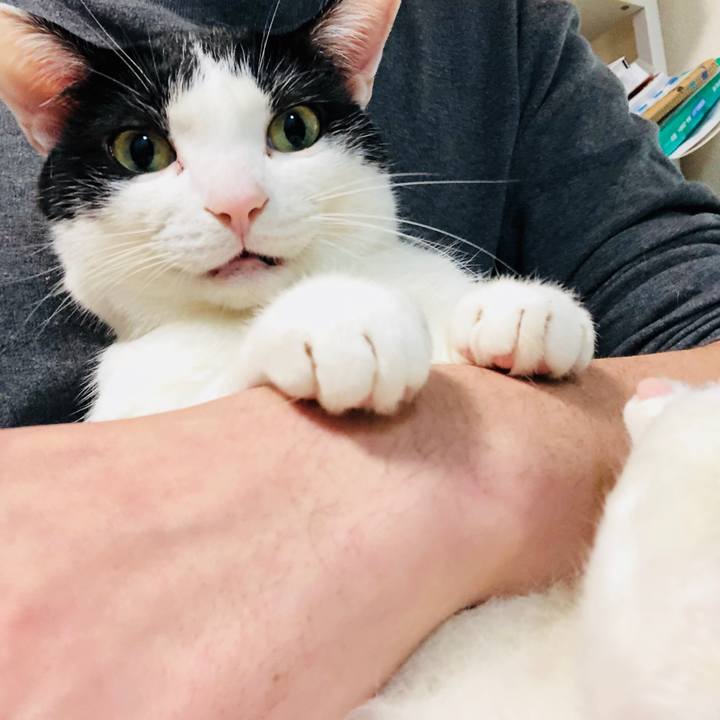 Ad48663a 135e 4b82 a962 c4700895e926 1519827267420