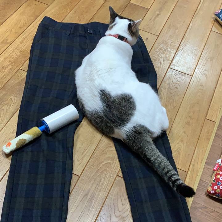 Ad488113 bbe0 45b6 bb97 83ad4fe1c687 1576402597570