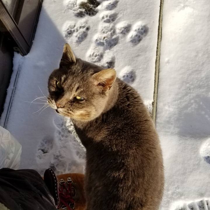 Ad488d0f 3c8a 41c2 a674 079212a74f6e 1549376702997