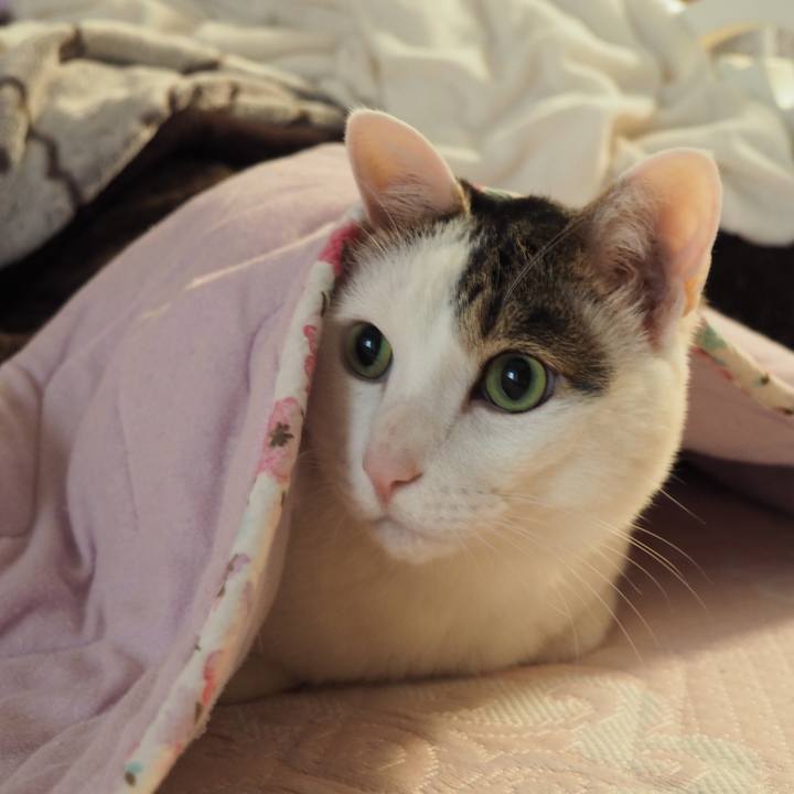 Ad48ba56 8830 43d9 88d0 a4b943f9e8ec 1628482774116