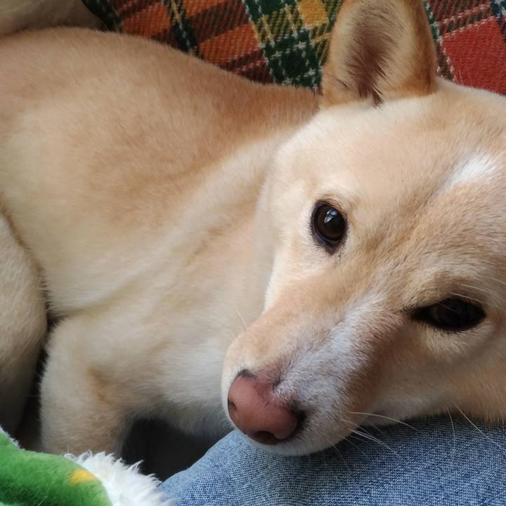 Ad48ba82 8130 4d49 857a ad478b62587b 1518409299512