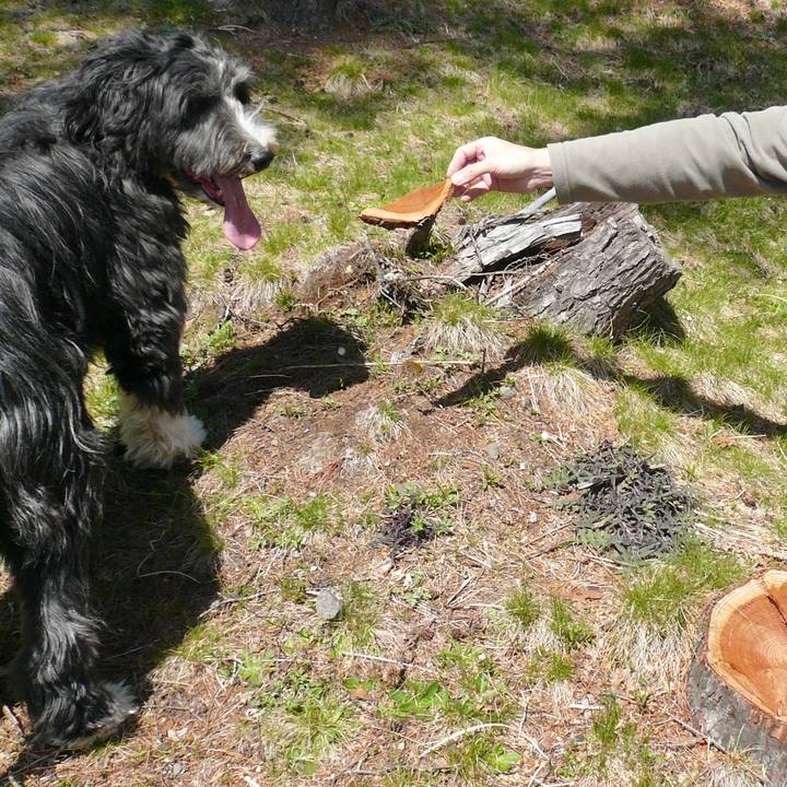 Ad48badd 8318 4862 ace4 bb492e34f683 1554960794843