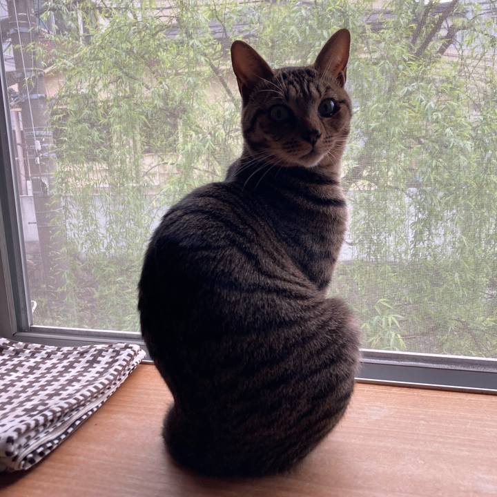 Ad48eab0 4ce2 4ae3 b8ab 5ebd319485a9 1680566799987