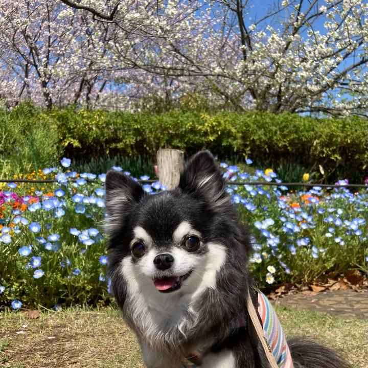 Ad490487 7435 4bbe 9e62 d9bed07978e3 1775191222628