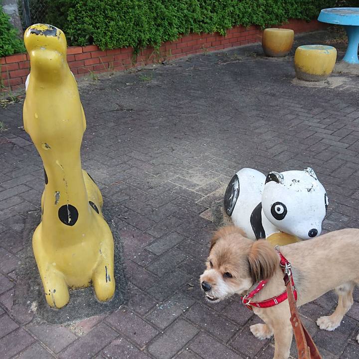 Ad4911b1 4139 4215 a54f 4a03abdc6e3b 1569320395910