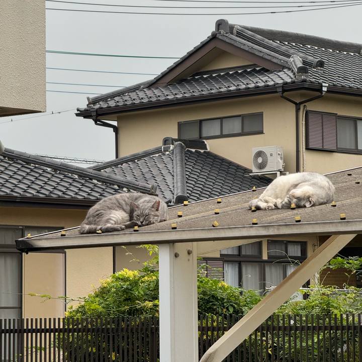 Ad49b225 d97c 43d6 80a8 3ac50fc6b78a 1754534340766