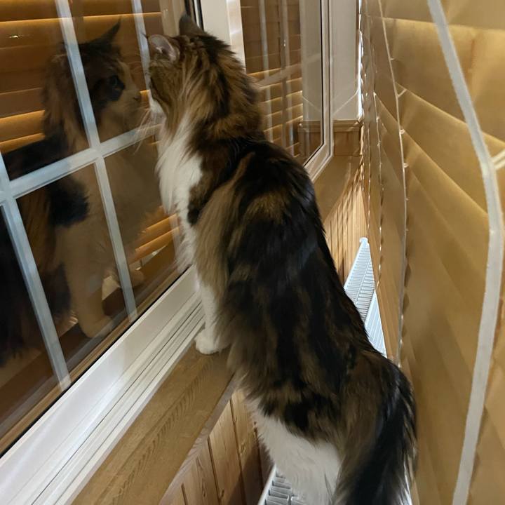 Ad49b725 5a48 4766 8963 a0dfd7a60288 1679084443576