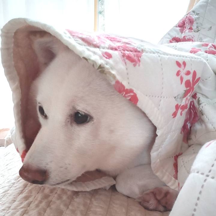 Ad49ee06 83ad 4fff bbee 97e180edd7e9 1633929944474