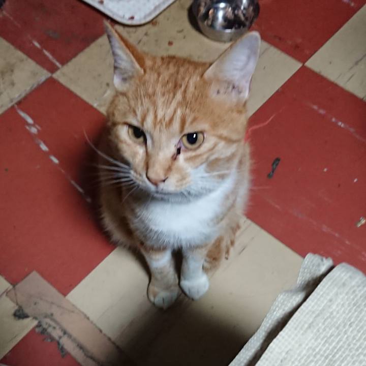 Ad4a36aa 3ab6 467e a881 ec607cee7b05 1571863822402