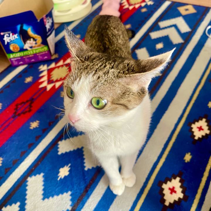 Ad4a3d57 c386 44f3 a145 11acb967bf02 1634633441190