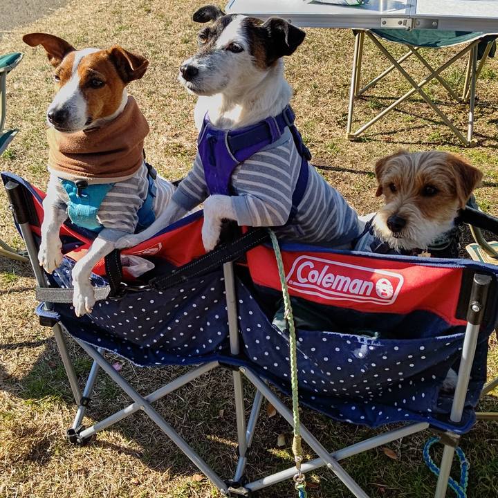 Ad4a4d30 64ff 4f48 8f9f b00cd1056b3e 1673259994487