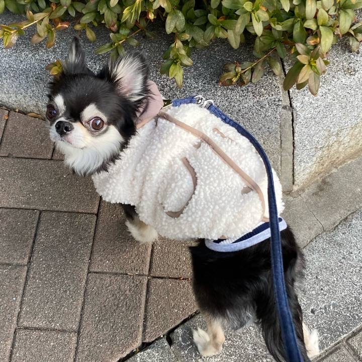 Ad4a6790 8e95 4451 b42b 0148416f0aa0 1675525125881