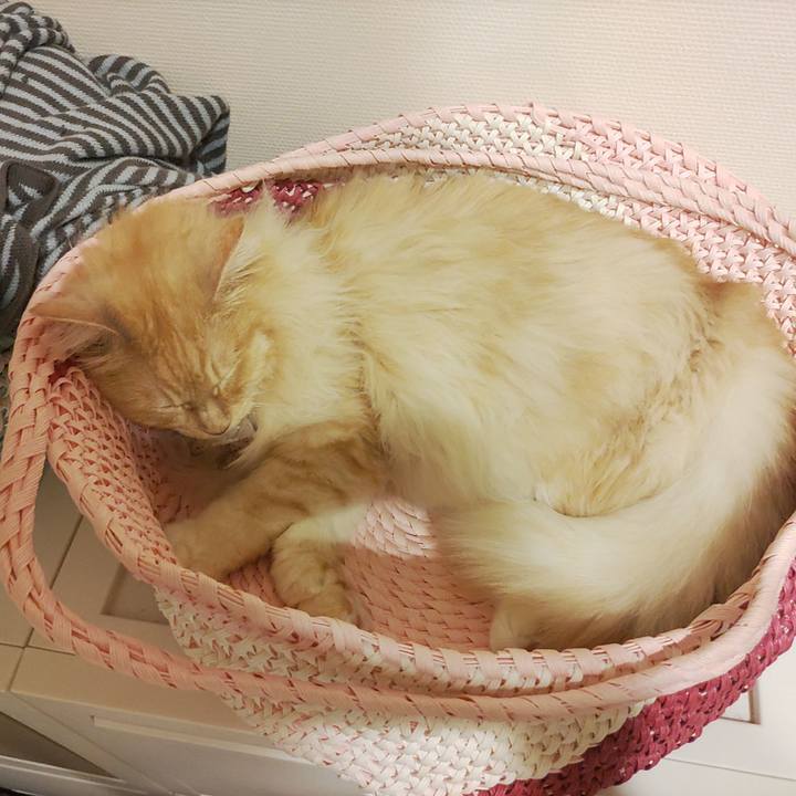 Ad4a8a36 5267 45f8 bcfd 6bcfe20ce8f6 1718109624358