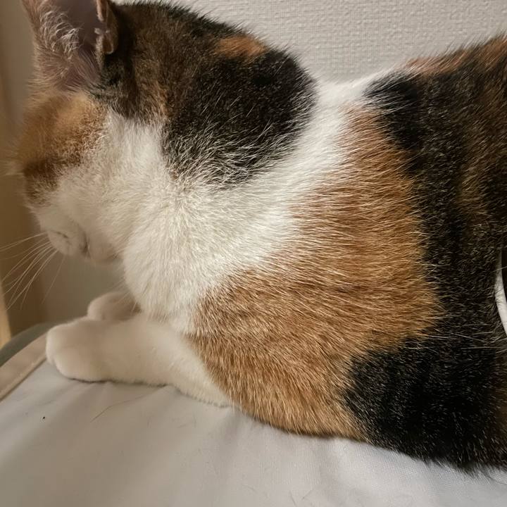 Ad4a918e b8cf 41c6 a932 e7917085a4e9 1680022584623