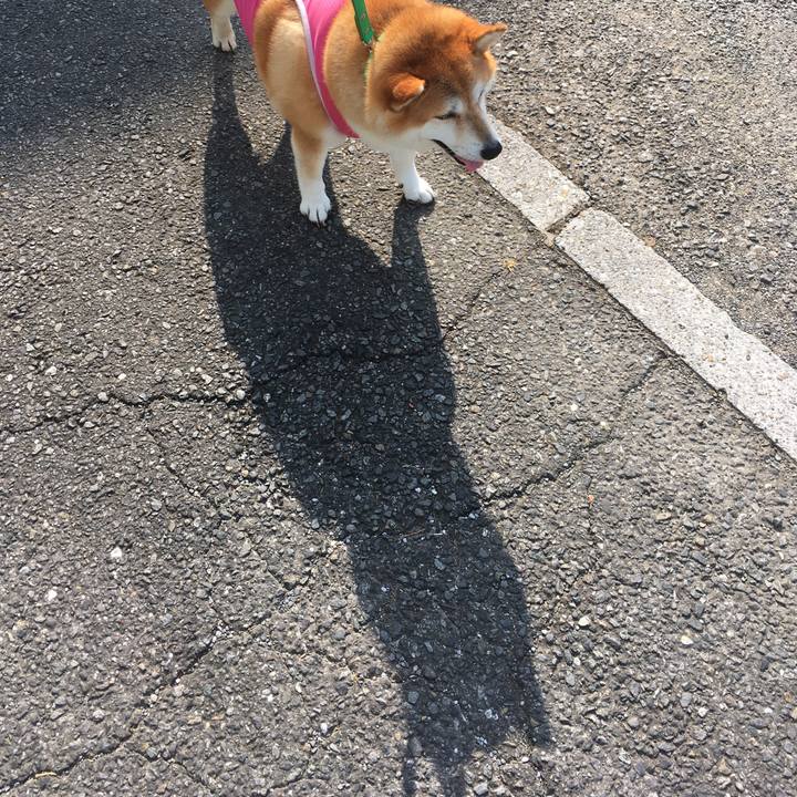 Ad4aba86 56b8 4980 9310 e4d565528ad0 1598053233033