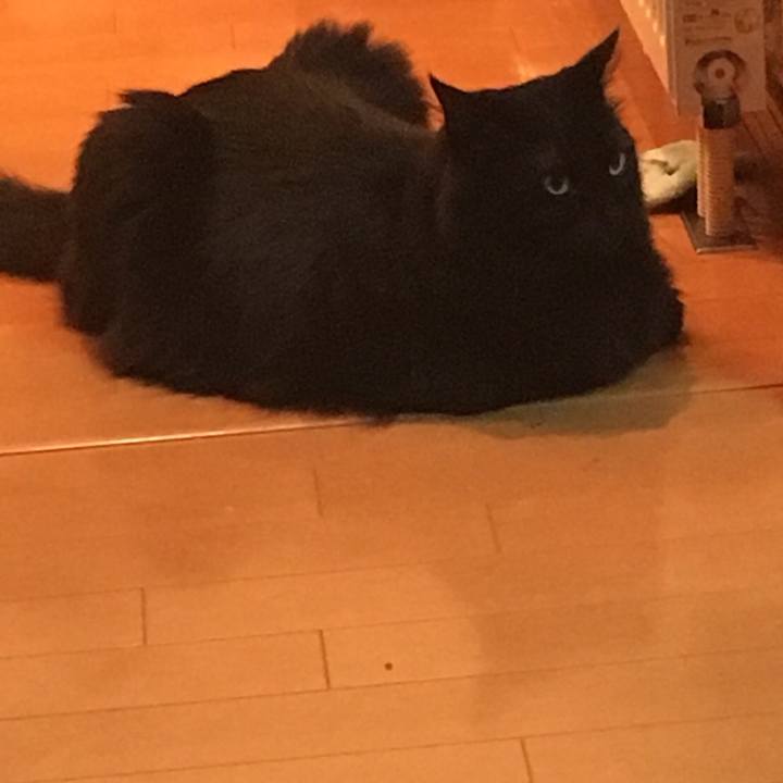 Ad4ac67a 6bb3 4990 bb91 72508e6c0552 1526993667606