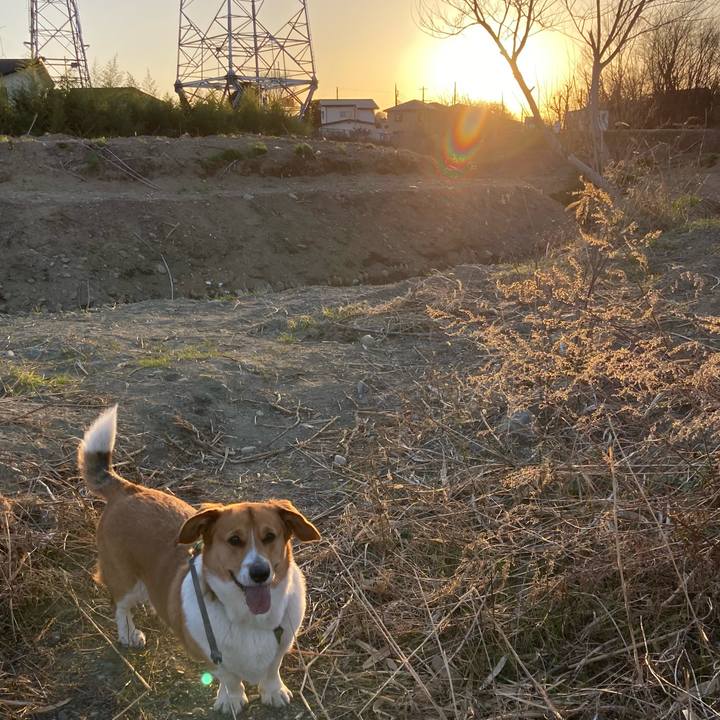 Ad4b05a6 7dfb 4272 98b8 14de787a6066 1710146642916