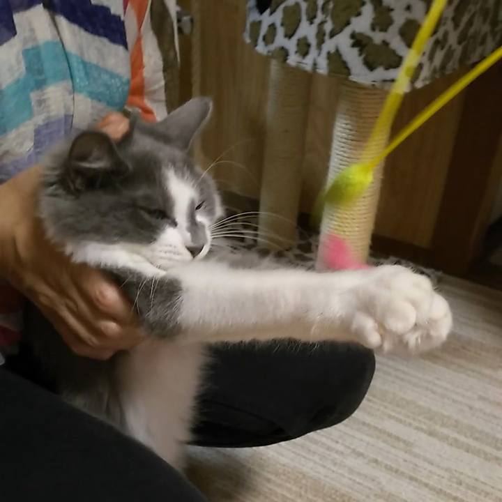 Ad4b0b82 6a66 4323 8e17 bb127433e514 1568538374687