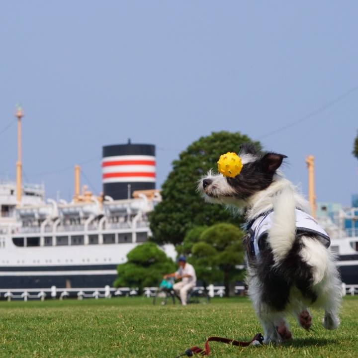 Ad4b3461 1df3 4538 a579 0df4c1110bb8 1531911830411