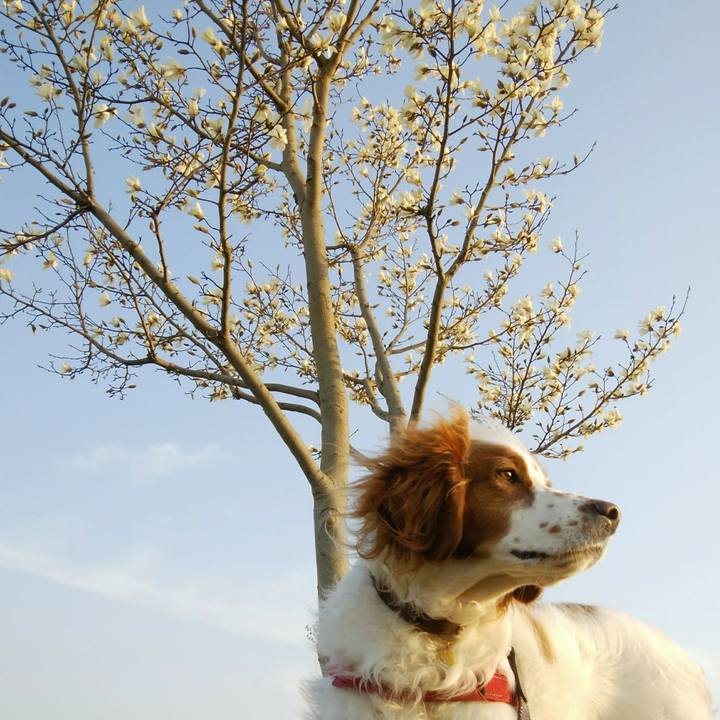 Ad4b4de8 a604 449b a19e 0a31a0c0648c 1553686054920