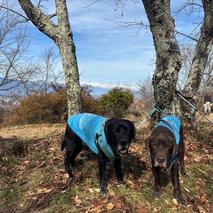 Ad4b7c18 49b1 4e9b 92ff 12014e5b0a85 1764244063410