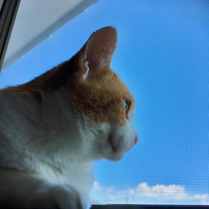 Ad4bc9a6 3243 403b bbdf 4de1355e073c 1571020839456