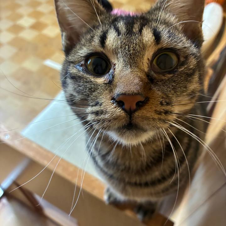 Ad4be1f6 b2dc 4670 b34a 7c4f306d4c33 1762055792641