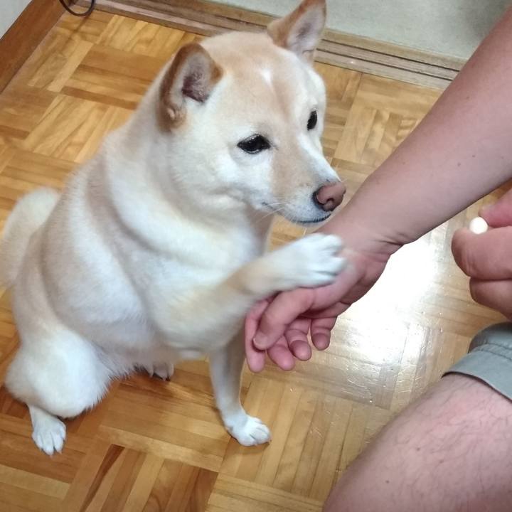 Ad4be678 11ba 4117 bb03 4db3edcf848d 1563154022670