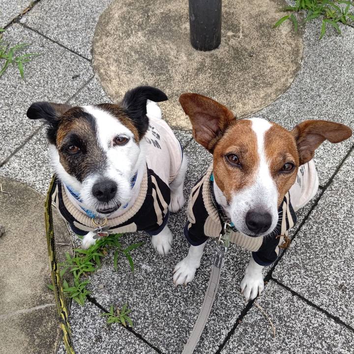 Ad4c485d 8754 4135 9c97 194bd4b755ff 1686704726155