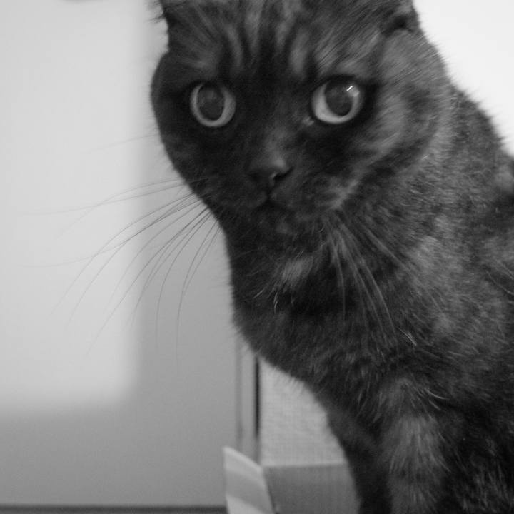 Ad4c5c61 4e13 44ea 9784 633e155beb5b 1630854323098