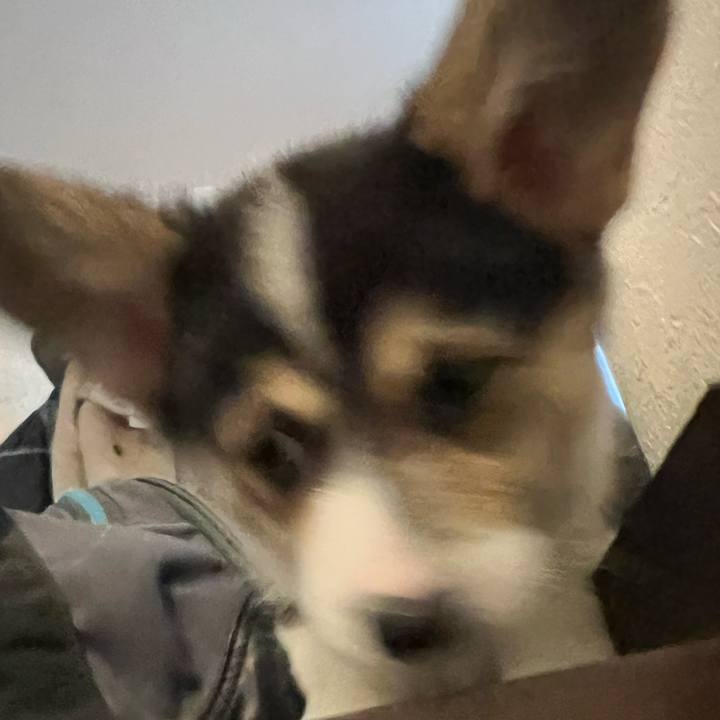 Ad4c5f2a df1d 400d 920e af923f96cb6f 1768611391190