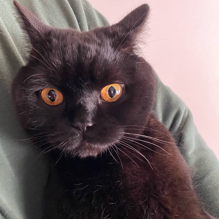 Ad4c62ba fcd6 455a b844 03a9d75f3b6e 1608350054228