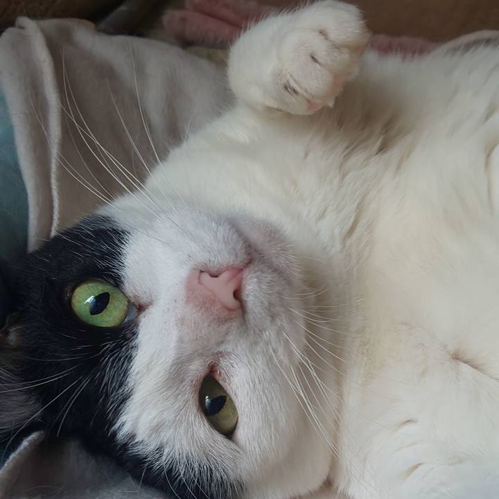 Ad4c8bc7 c659 4c18 97ff eaeca13eeb9f 1698774485040